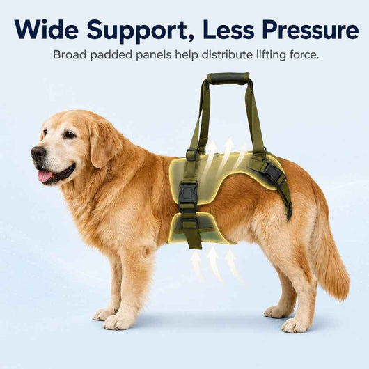 Paws in Awe Rear Support Dog Lift Harness for Stairs, Walks & Recovery - Padded Assist Harness for Senior, Injured & Weak-Hind-Leg Dogs
