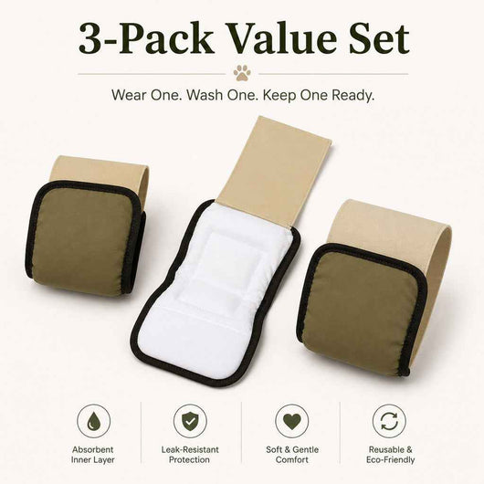 Paws in Awe 3-Pack Washable Male Dog Belly Bands for Indoor Marking & Senior Dribbles - Reusable Dog Diaper Wraps to Protect Floors & Furniture