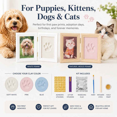 Paws in Awe Pet Paw Print Frame Kit for Dogs & Cats - DIY Keepsake Photo Frame for Home Display, First Paw Memories & Pet Loss Sympathy Gift