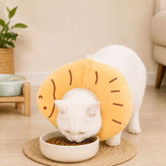 Komavic Soft Cat Recovery Collar for Eating and Sleeping