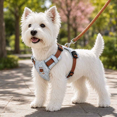 Paws in Awe Vintage Denim No-Pull Dog Harness &5 ft Rope Leash Set - Soft Adjustable Vest for Everyday Walks, Better Control & Low-Light Visibility