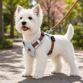 Komavic Vintage Denim Dog Harness & Leash Set