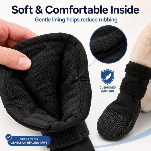 Komavic Dog Paw Recovery Boot