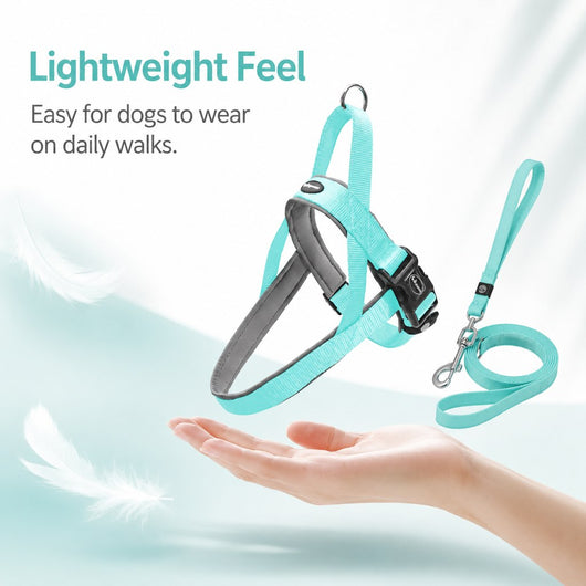 Komavic Quick-Fit Dog Harness & Leash Set