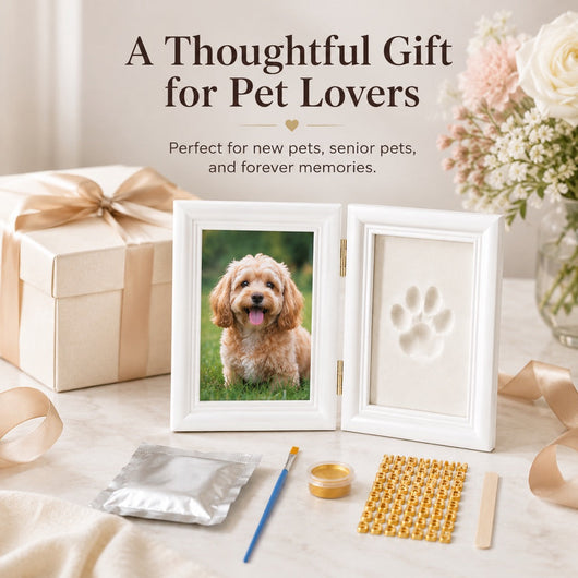 Komavic DIY Pet Paw Print Frame Kit with Clay