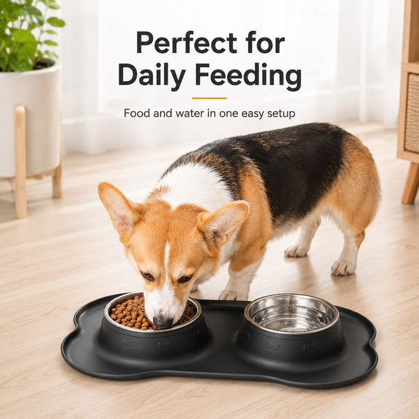 Spill-Proof Dual Pet Bowl with Raised Silicone Mat
