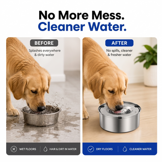 No-Spill Dog Water Bowl