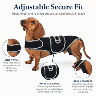 Komavic Dog Back Support Vest for Dachshunds & Senior Dogs | Adjustable Back Brace