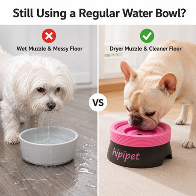 No-Drip Floating Water Bowl