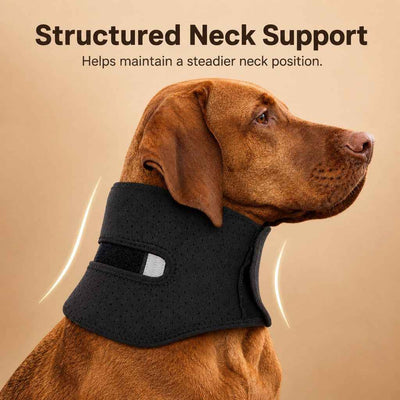 Paws in Awe Adjustable Dog Neck Support Brace for Rest & Recovery - Breathable Cervical Collar for Limited Neck Movement