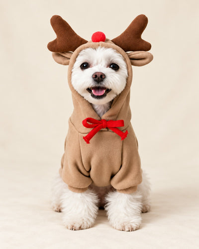 Komavic Santa Paws – Christmas Dog Costume