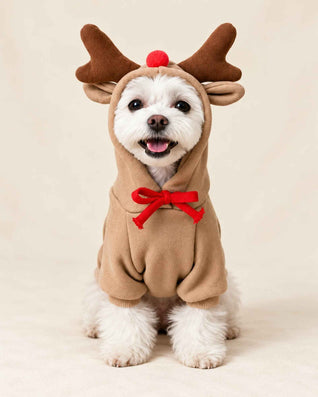 Komavic Santa Paws – Christmas Dog Costume