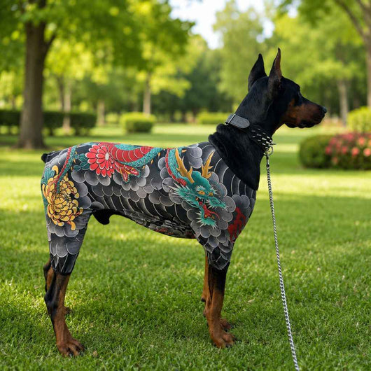 Paws in Awe Tattoo Print Dog & Cat Bodysuit for Walks & Photos - Soft Stretch Pet Onesie Helps Contain Loose Hair