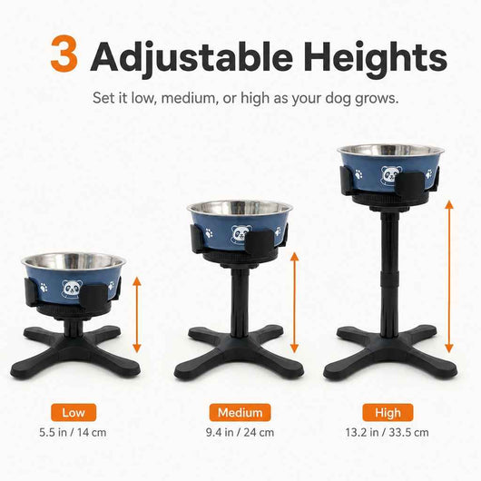 Paws in Awe French Bulldog Adjustable Elevated Tilted Dog Bowl for Kitchen Feeding Corners - 3-Height Stand with Slow Feeder Insert to Reduce Neck Bending & Mess