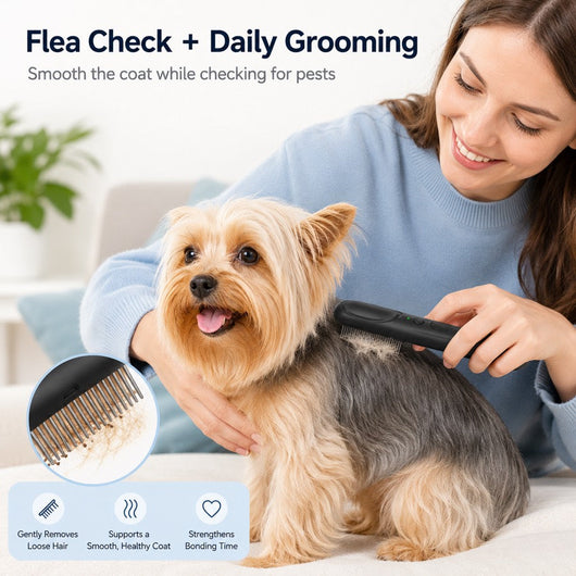 Electric Flea Comb for Dogs & Cats