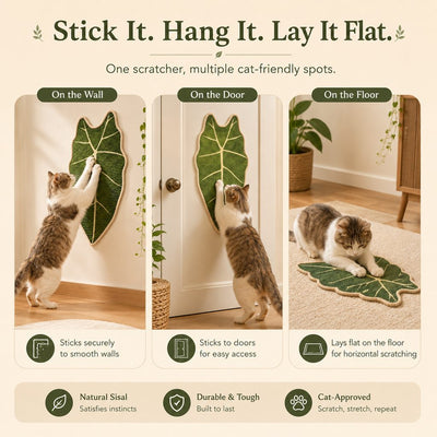 Botanical Sisal Cat Scratcher Mat for Walls, Doors & Floors – Space-Saving Cat Scratching Pad for Furniture Protection