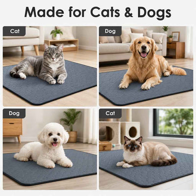 Paws in Awe Reusable Washable Pet Pee Pad for Cats & Dogs - Absorbent Non-Slip Floor Mat for Indoor Potty Training, Playpens & Crates