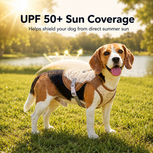 Dog Cooling Vest for Summer Comfort