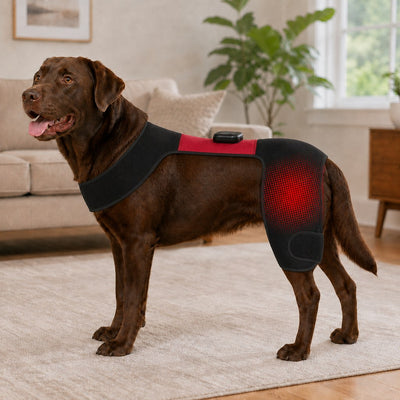 Komavic Dog Hip Light Wrap Red & Near-Infrared Care