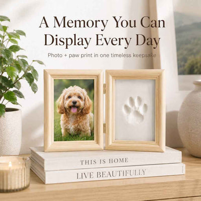 Paws in Awe Pet Paw Print Frame Kit for Dogs & Cats - DIY Keepsake Photo Frame for Home Display, First Paw Memories & Pet Loss Sympathy Gift