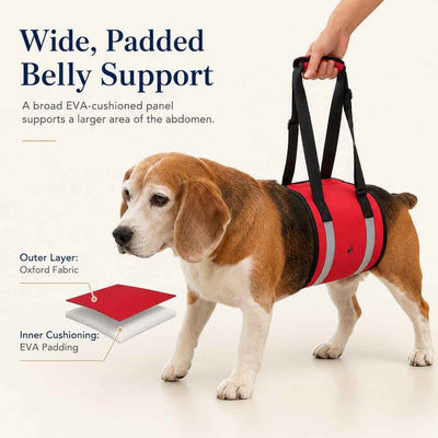 Paws in Awe Reflective Dog Lift Support Sling - Belly Assist for Dogs with Limited Mobility on Stairs, Walks & Car Entry