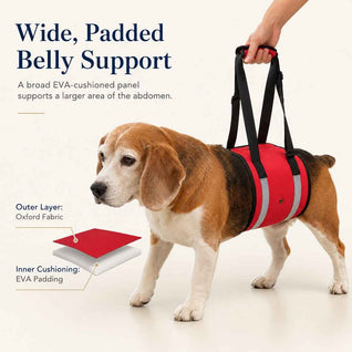 Komavic Dog Lift Sling Mobility Support for Weak Legs