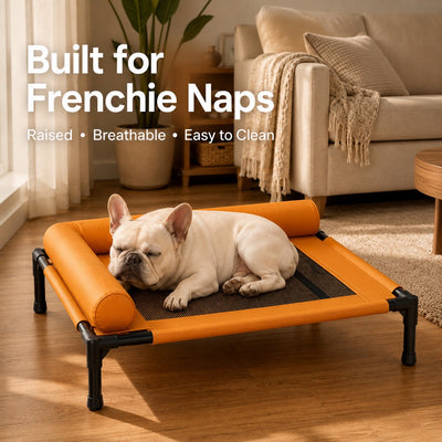 Komavic Elevated Dog Cot for All-Season Indoor Naps - Breathable Raised Pet Bed with Soft Bolsters for Cooler Rest & Easy Cleaning
