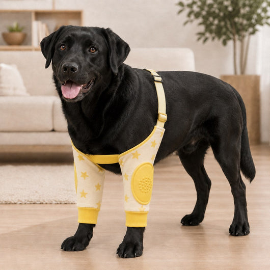 Komavic Dog Elbow Protector Sleeves Padded Floor Protection